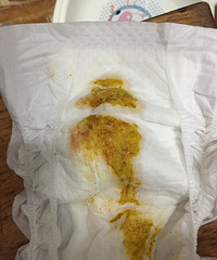 [����]2���±������ι�� ����Ѫ˿