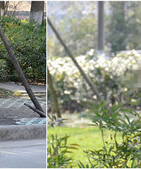 ʲô�𣿼��˽�ͷ��Ѯ�����˱�����