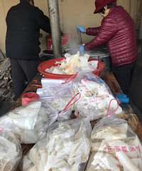 ÿ����궼��ԣ������˶�֪������ʳ 20��һ����