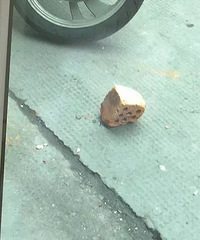 �콵שͷ��2��Ůͯ�ҳ����ˣ���Ժ�м���18��ס��һ����