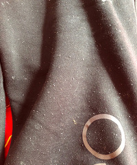 �����������ˣ����ϴ�˹450��Ŀ��� ����5��ȫ��ë��