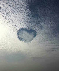 �����������㣬�ҾͲ��ڴ���