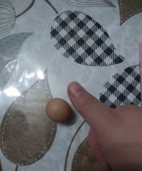 ��ĸ�������һ�����伦�� ����ָ�׸ǲ��󡤡�����