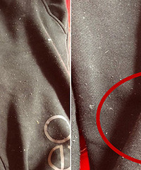 450����İ��Ͽ��� ��������ȫ��ë��