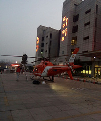 ������˶���ֱ���������賿����������Ա�ڡ�������