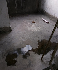 ����ĳС��ҵ���²ۣ�С��¥����ÿ�춼��һ��̲������ û�˹�