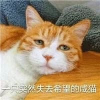 ϲ��һ��Ů�� �Ѿ�׷���������� ��֪������ô����...