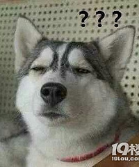 �ѵûؼҳԸ��� ����Ҷ�������Щɶ...