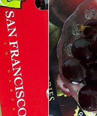 ��˾���ĳ����� �ųԾ����źõģ�