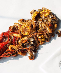 ������ֵ��������� ���˽ڳ������ײ��ˣ�