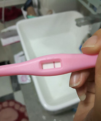 "【悦程妇产杯·孕妈日记】我的狗宝宝小团子"
