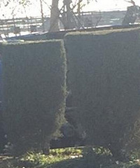 ͻ����07ʡ����������������ˣ�