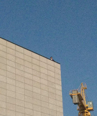 ��¥����ã�����һ���Ӿ����ݶ�Ҫ��¥ ��˵Ϊ12�򹤳̿�