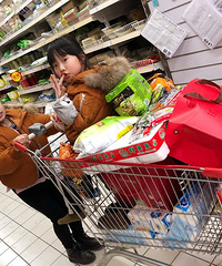 �������Ĵ��ڡ�������