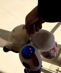 ���������