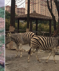 Ʊ�ۺ�ֵ���Ϻ�Ұ������԰���� ֱ��ˢ����֤