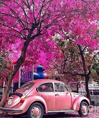 ���µ׵Ļ��� ������ȥ����ã�