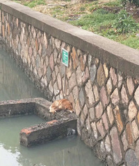 ˭�ҵĹ������ºӵ��ϲ��� ȫ����ʪ�ˡ�������