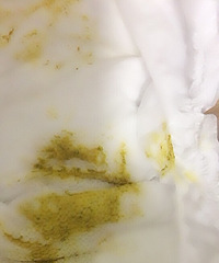 ����+Ů�������������쿪ʼ��һ������һ��