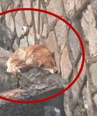 ˭�ҵĹ������ºӵ��ϲ�����