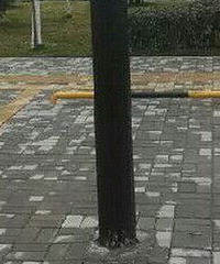 ���˾��֡���λ�� ��˾�����˶�Ҫ��