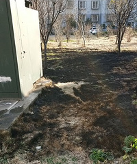 ÿ��һ���� �����Ż�һ�Σ��Ա߾��ǵ��� ��˵�����Ǹɵ�