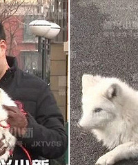 ������������ֻ���� �����...