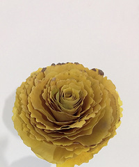 �ֹ�DIYȺ����ӭͬ�����˼���