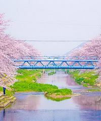 38Ů����ػ� 88Ԫ���ܱ��Σ�