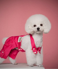 ף���������˹�������