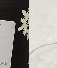 ���壡����ĳ�̲��﷢�ֲ���������ë��