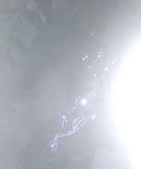 ��Щ��Ĺ������� ����ȫ�������ӵ��ŵ���ȥ�ˡ�����