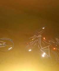 ��Щ��Ĺ������� ����ȫ�������ӵ��ŵ���ȥ�ˡ�����