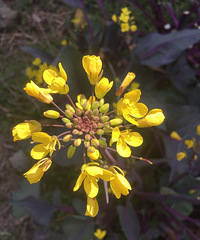 ��ů����