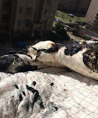 ¥��ס�����¶���ͷ �������ǼҶ����ˣ�