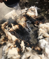 ¥��ס�����¶���ͷ �������ǼҶ����ˣ�