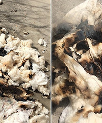 ¥��ס������ͷ �����Ҽ����ˣ�