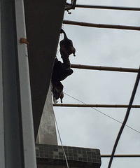 �٣�¥�ϵ����� ��ҵ��ϰ�ˮ���������o��ȫ���Ҽ��·����ˣ�