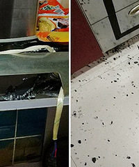 ���£��Ҽ����̻�ͻȻ�Ա� ��������һ��