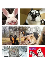 ��ŷ�͡��Һ�����Ƥ��ʱ����д���� ��ϲ����һ�»�������