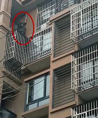 "嘉兴一4岁半男童翻出6楼阳台,10分钟后……家长们长点心吧"