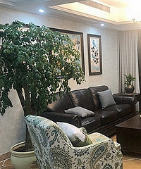 ��ʽ���� ��ʱ����㶨