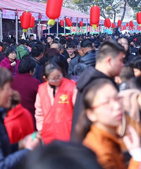 ���������Ԫ���ƻἷ���˸о�֮ǰ���Ķ��Ǽ�Ԫ����