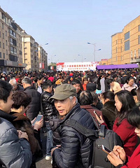 ���������Ԫ���ƻἷ���˸о�֮ǰ���Ķ��Ǽ�Ԫ����