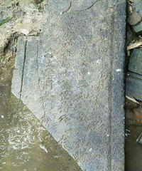 �������Žֵ�����һ��ű� ���ѣ����������