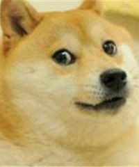 92��ҽ��MM �ұ���GG