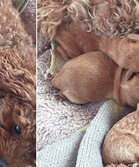 �Ҽҹ����� ¥��ʮ��ֻ�������š�����