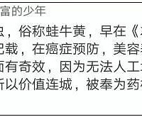 "牛蛙肚中吃出一坨“方便面”,妹子懵了!"
