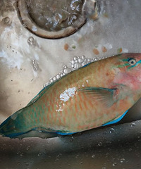 ��˾���������� ������ɫ�߲ʰ�쵣����Ѷ����ұ���ˡ�����