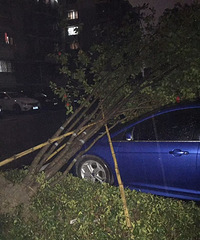 �ⳡ�������������ˣ��̶�20���� С���ĳ�ȫ������